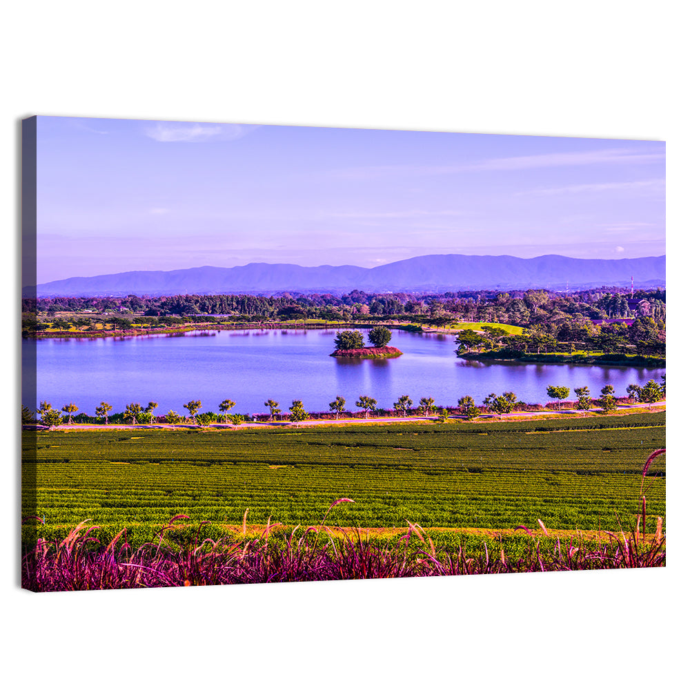 Thai Tea Plantation and Lake Wall Art