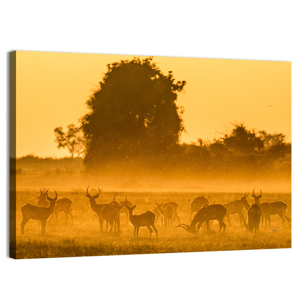 Antelope Herd at Golden Hour Wall Art, canvas print, landscape