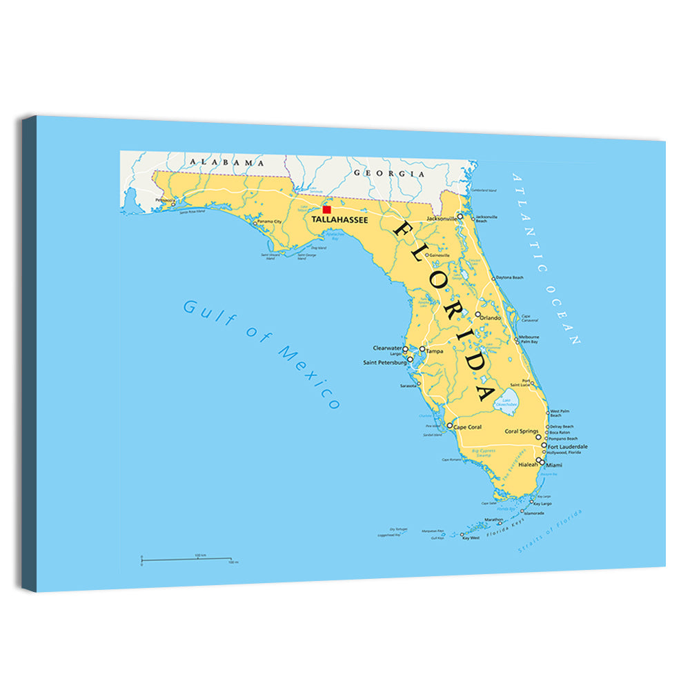 Florida Political Map, Blue and Yellow Wall Art