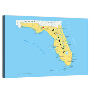 Florida Political Map Wall Art