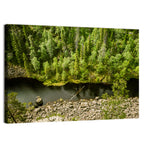River Through Finnish Forest Wall Art