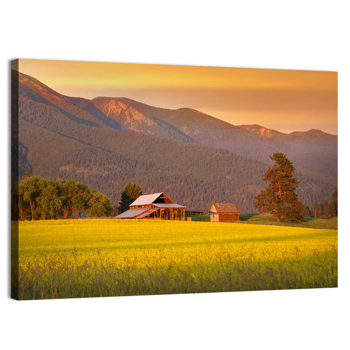 Rapeseed Field and Barn at Golden Hour Wall Art as a canvas print