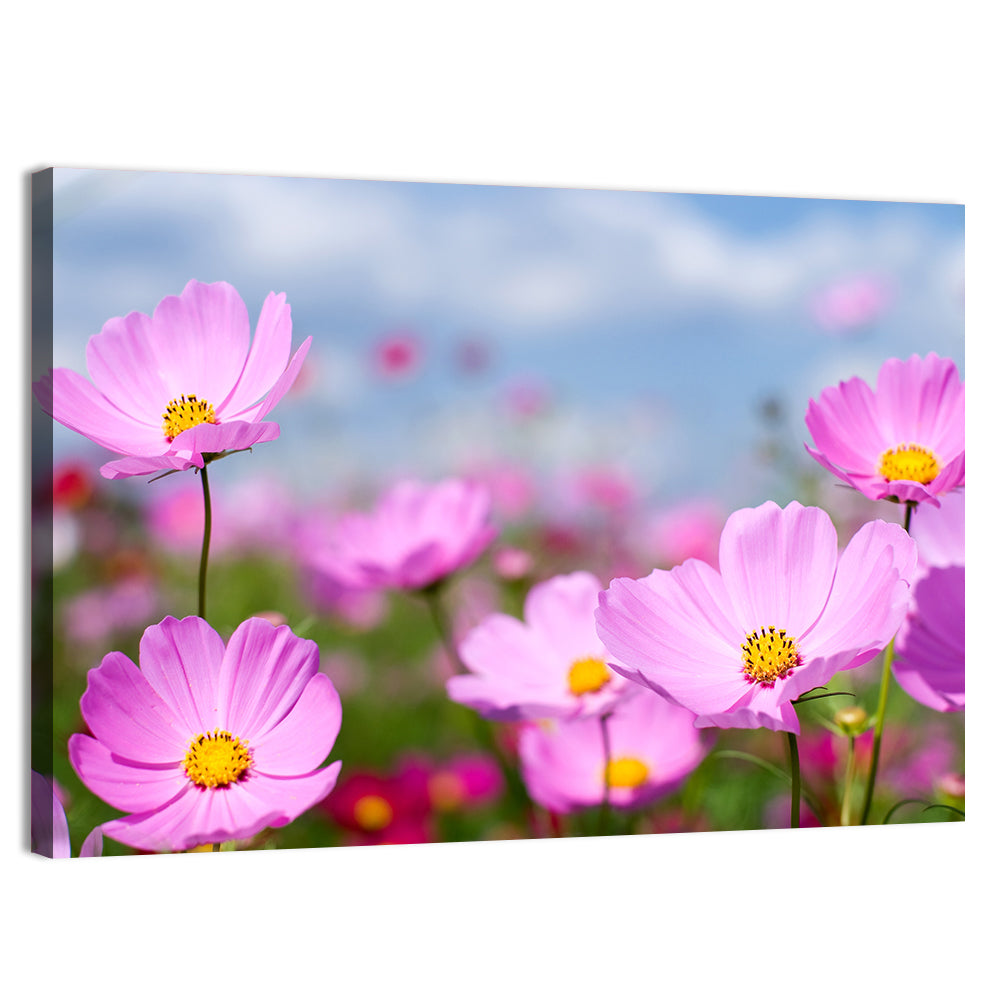 Pink Cosmos Field & Sky Wall Art