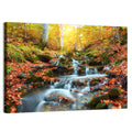 Backlit Autumn Forest Stream Wall Art