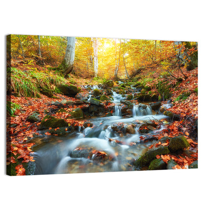 Backlit Autumn Forest Stream Wall Art
