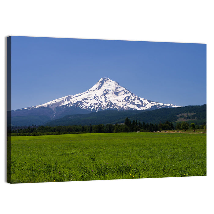 Mount Hood Meadow View Wall Art as a canvas print