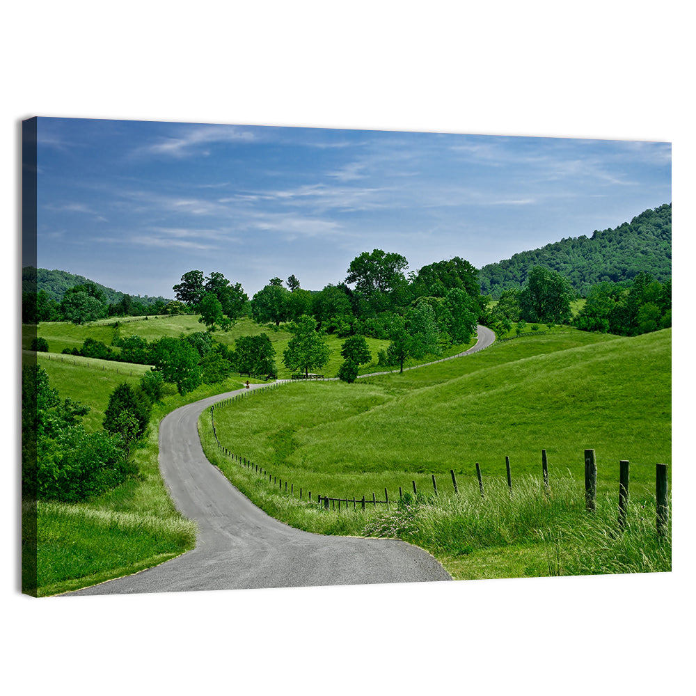 Blue Ridge Winding Road, Western Virginia Wall Art