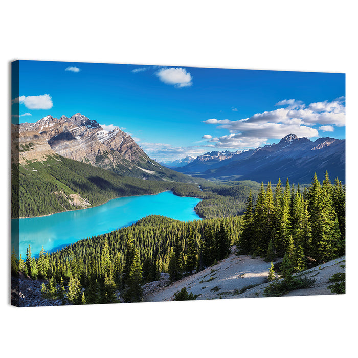 Peyto Lake, Banff National Park Wall Art as a canvas print
