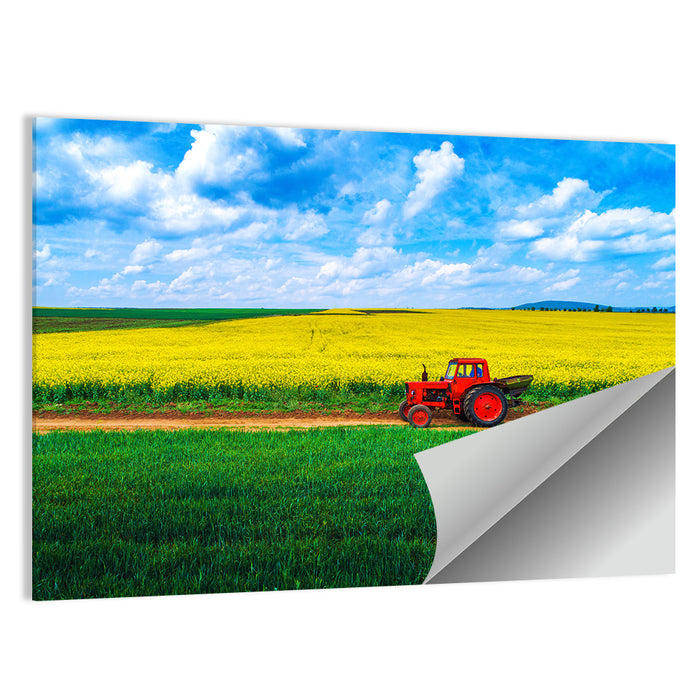 Red Tractor Over Yellow Rapeseed Field Wall Art as a poster print