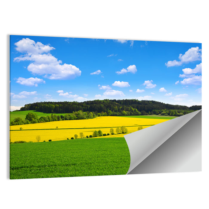 Spring Czech Countryside Landscape Wall Art as a poster print