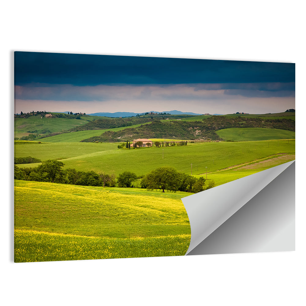 Tuscany in Summer Wall Art