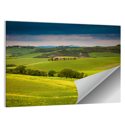 Tuscany in Summer Wall Art