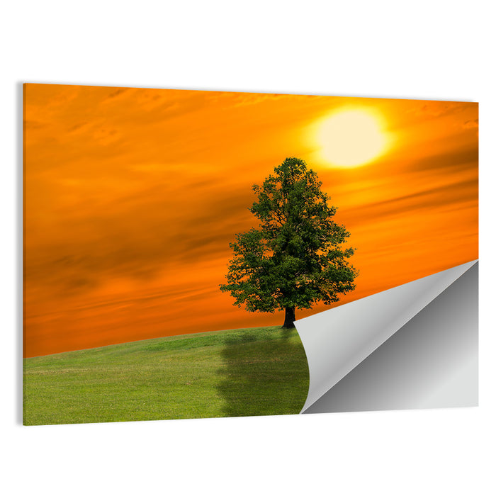 Lonely Tree on Green Hill at Sunset Wall Art as a poster print