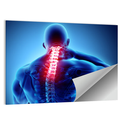 Cervical Spine X-ray Illustration Wall Art