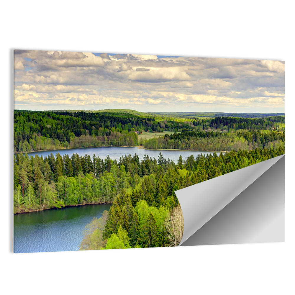 Aulanko Reserve Lake View Wall Art