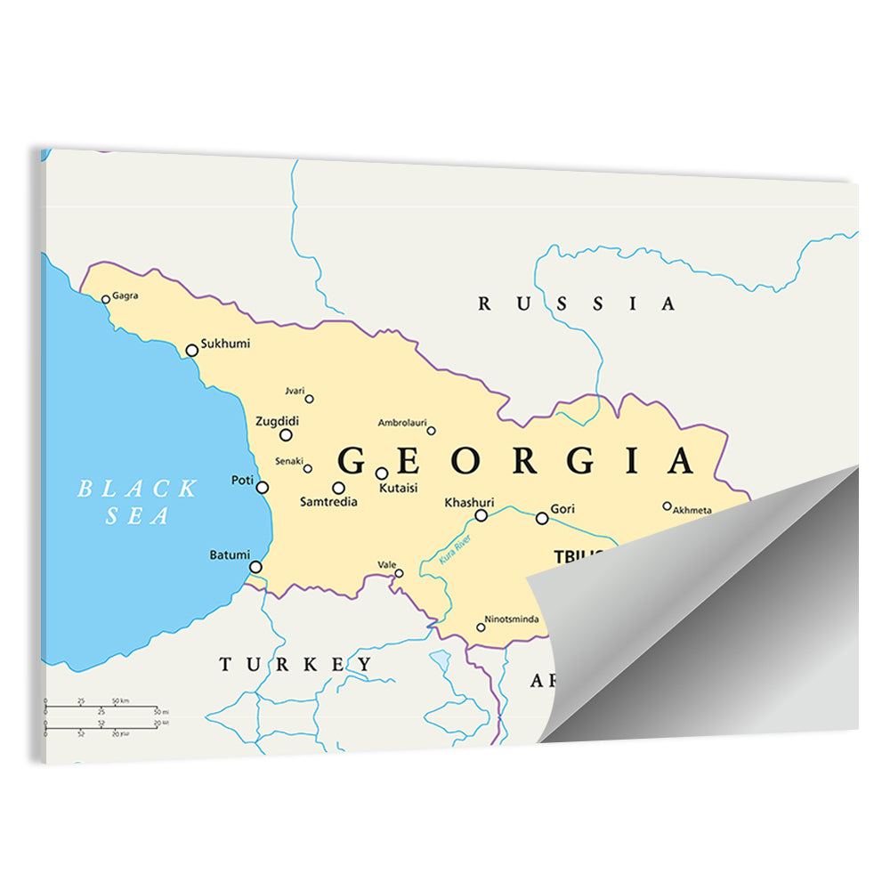 Georgia Political Map with Labeled Cities Wall Art