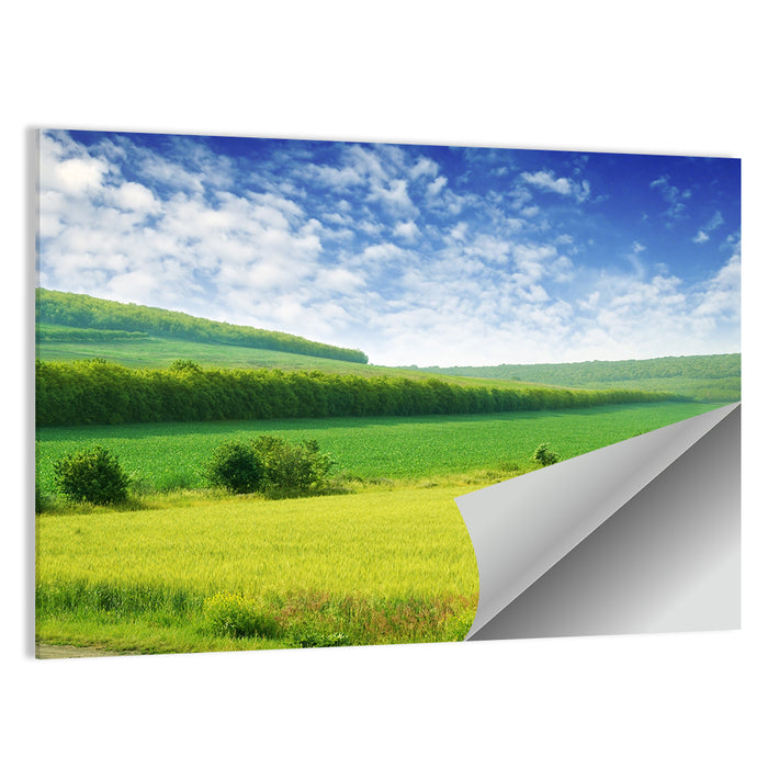 Green Spring Meadow Wall Art as a poster print
