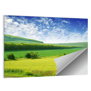 Green Spring Meadow Wall Art