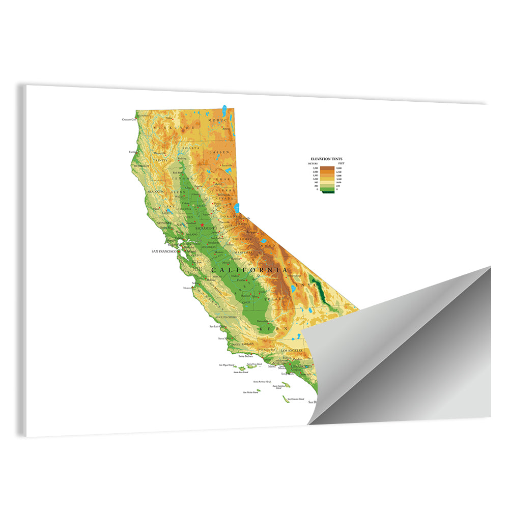 California Topographic Map Wall Art