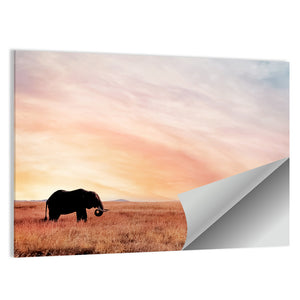 Elephant In Savannah Sunset Wall Art