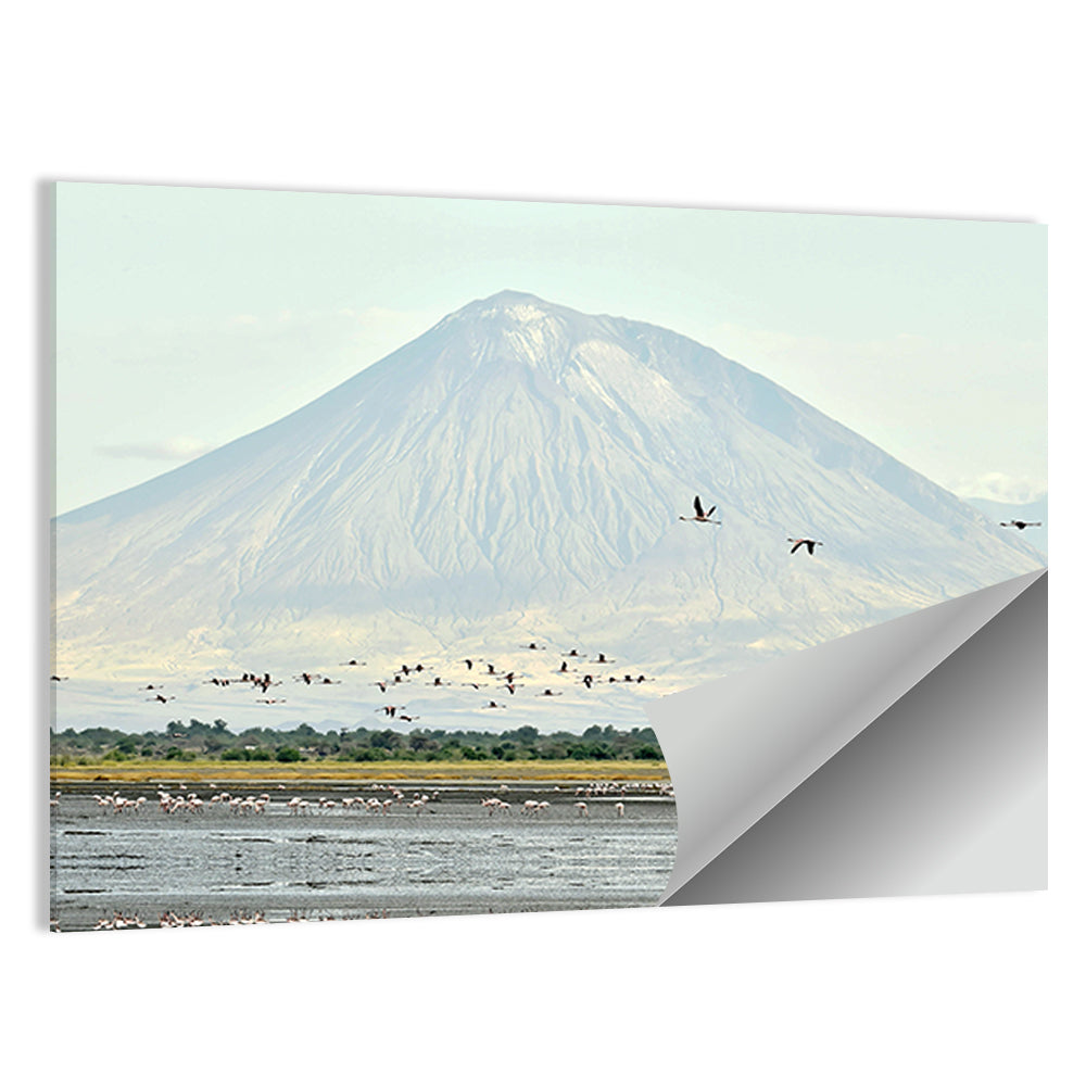 Flamingos Over Lake Natron, Doinyo Lengai Wall Art