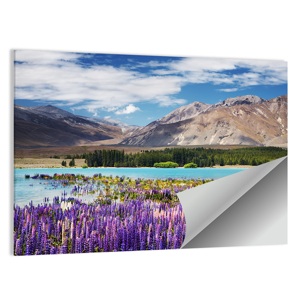 Lupines at Lake Tekapo Wall Art