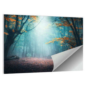 Mystical Forest Wall Art