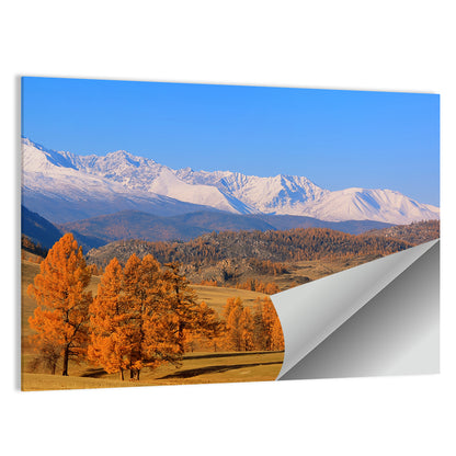 Altay Mountains with Golden Larches Wall Art