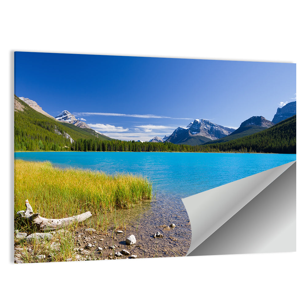 Jasper Lake with Driftwood Wall Art