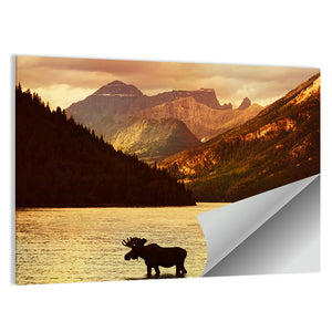 Moose In Waterton Lakes National Park Wall Art