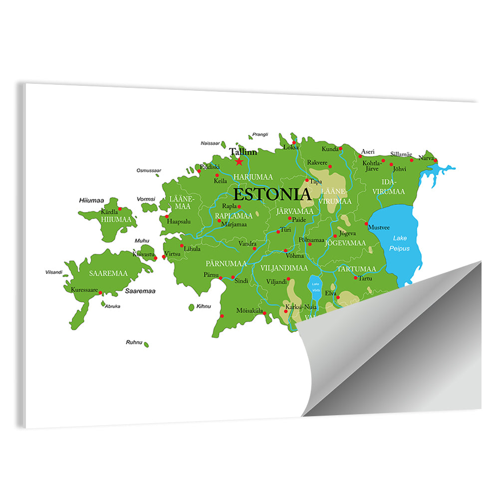 Estonia Physical Map Wall Art