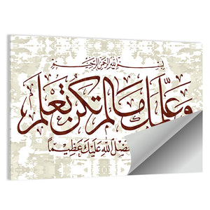 "Quran Surah 4 an Nisa Women 113 ayah" Calligraphy Wall Art