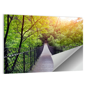 Bridge To Jungle In Guilin Wall Art