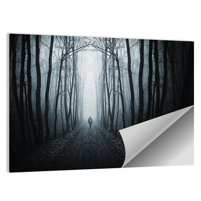 Strange Foggy Forest Path Wall Art as a poster print