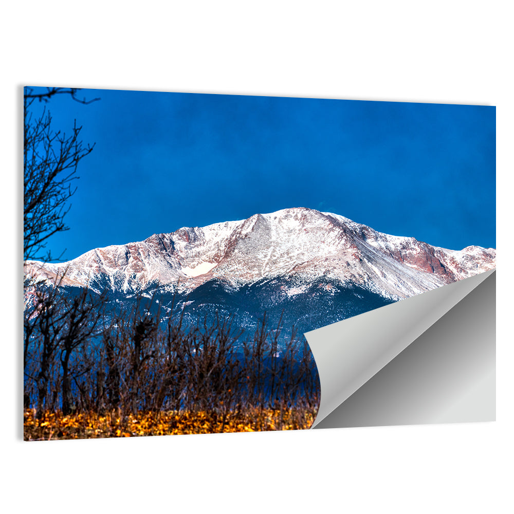 Pikes Peak, Colorado Wall Art