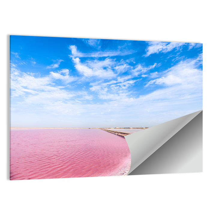 Pink Salt Lake Boardwalk Wall Art as a poster print