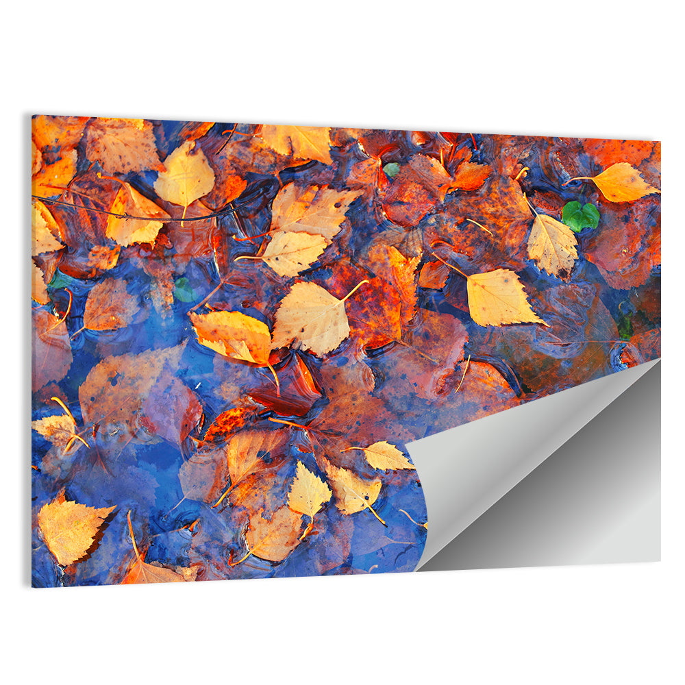 Birch Leaves in Rain Puddle Wall Art