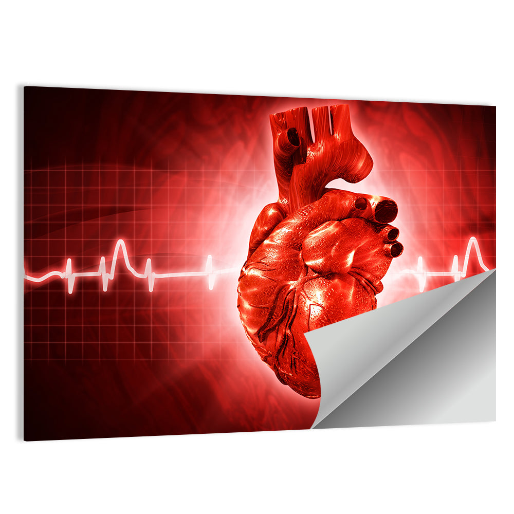 3d Anatomical Heart with Ecg Trace Wall Art