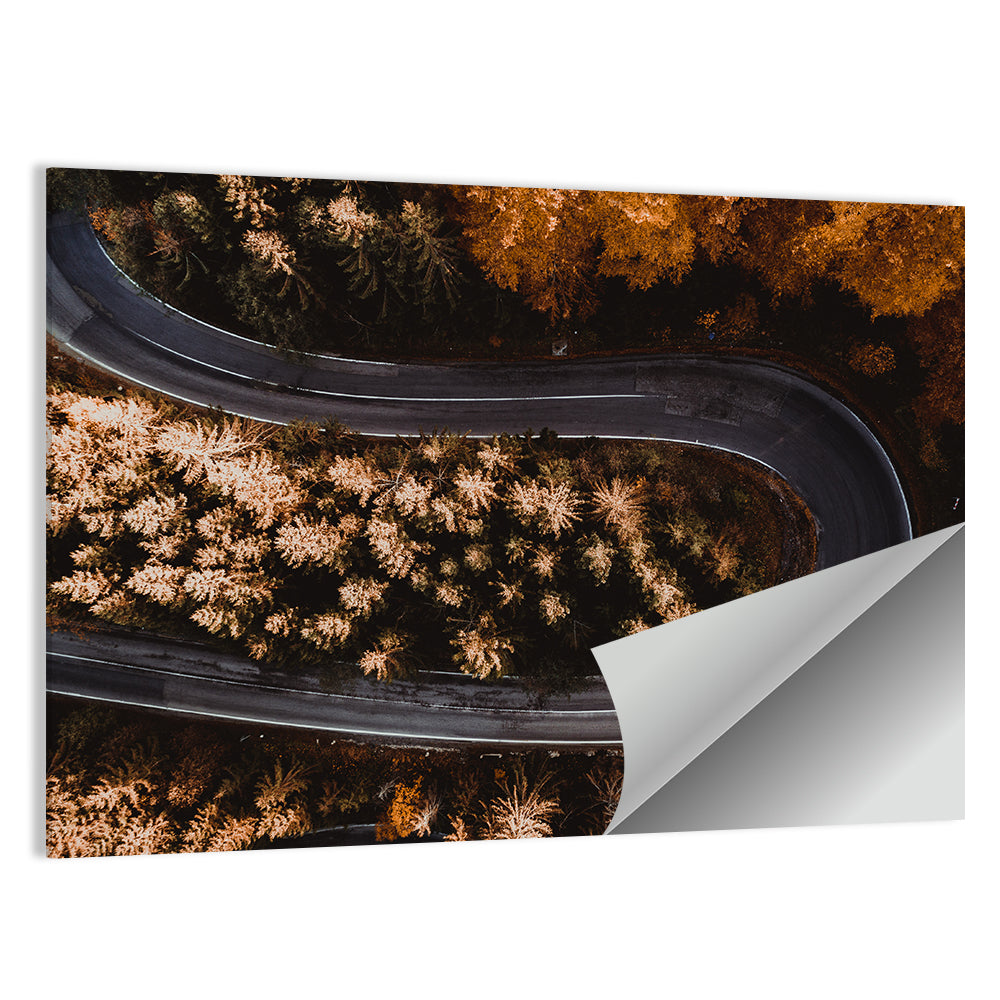 Hairpin Turn in Autumn Forest Wall Art