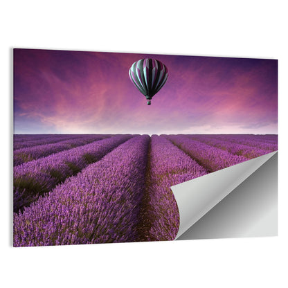 Hot Air Balloon Over Lavender Field Wall Art
