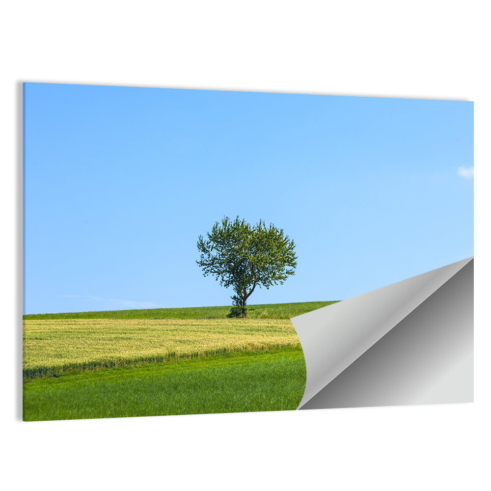 Solitary Tree on Rolling Meadow Wall Art
