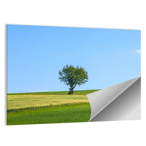 Lonely Tree At Meadow Wall Art