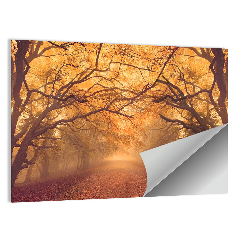 Golden Autumn Forest Path Wall Art