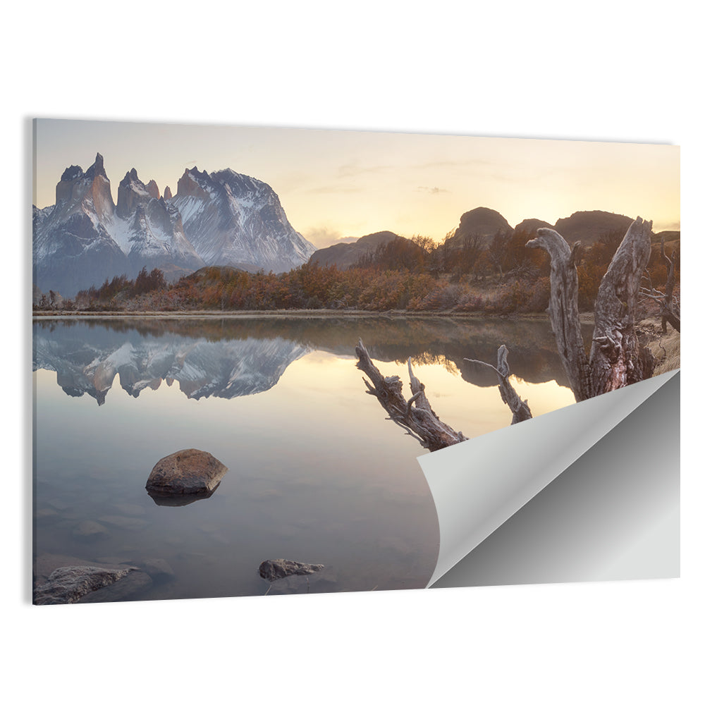 Cuernos Peaks and Driftwood, Pehoe Lake Wall Art