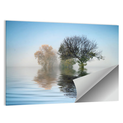 Misty Lake Reflection Wall Art