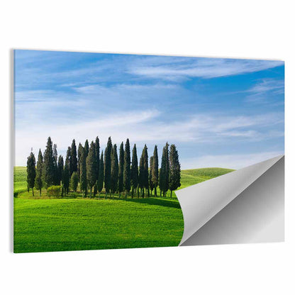 Tuscany Rolling Hills with Cypresses Wall Art