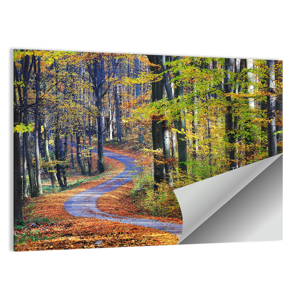 Winding Autumn Forest Path Wall Art