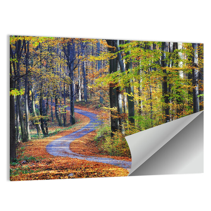 Winding Autumn Forest Path Wall Art as a poster print