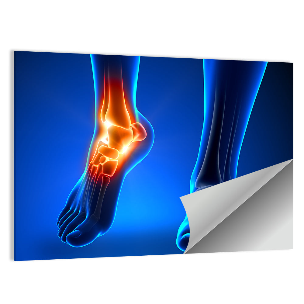 Ankle Anatomy X-ray Study Wall Art