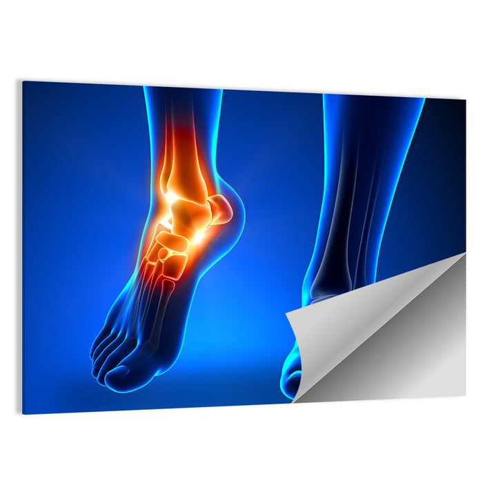 Ankle Anatomy X-ray Study Wall Art as a poster print